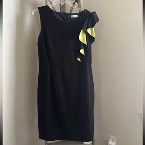 Calvin Klein Women’s Size 12 Dress